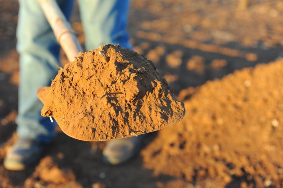 윈즈 쿠나와라 에스테이트의 '테라로사 토양'