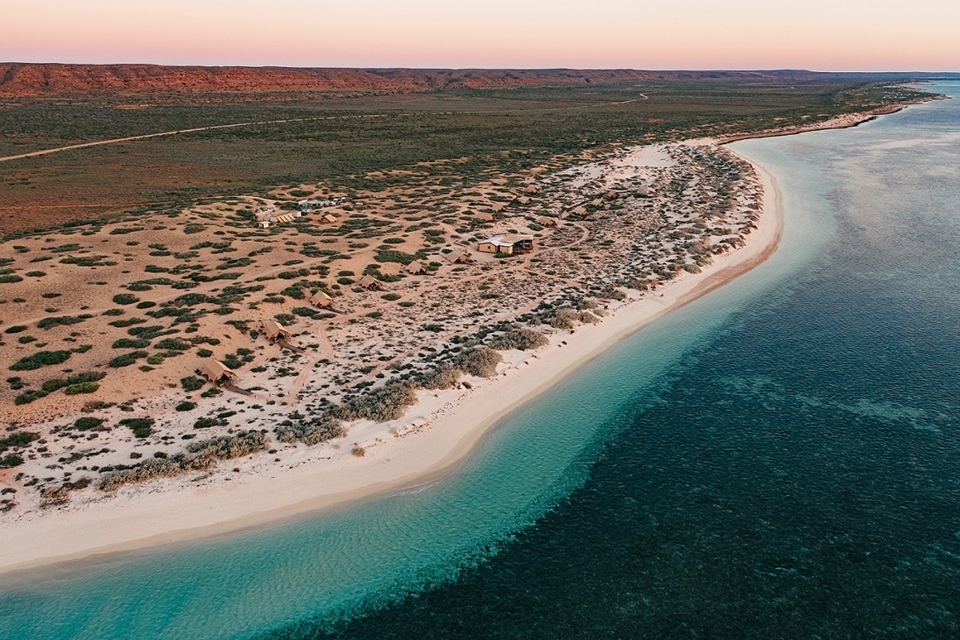 살 살리스의 캠핑장, 닝갈루 리프, 서호주 (사진=살 살리스 닝갈루 리프)