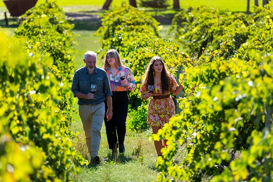 랑메일 와이너리, 바로사 밸리, 남호주 (사진=호주관광청)
