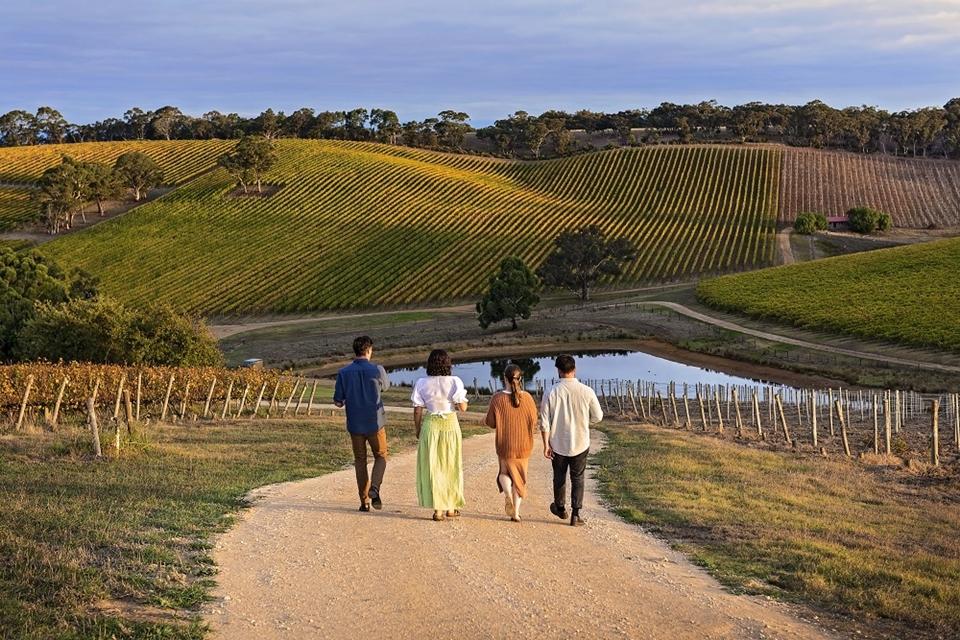 롱뷰 바인야드, 애들레이드, 남호주 (사진=호주관광청)