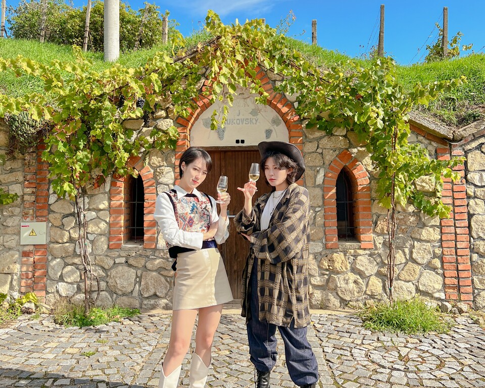 체코 남부 모라비아 브르비체 와이너리 투어 (사진=여미)
