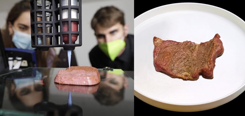 스페인 Novameat의 쌀 단백질과 3D 프린터로 만든 대체 고기 (사진=Novameat)