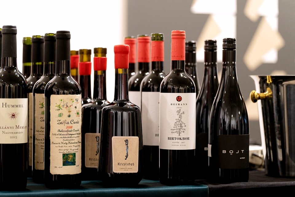 헝가리 와인은 토카이 외에도 다양한 지역, 다양한 품종의 와인을 선보이고 있다.