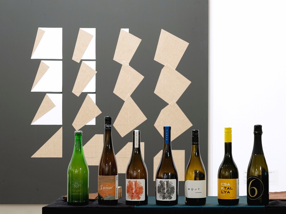 헝가리는 세계대전을 겪으며 어두웠던 긴 터널 '철의 장막' 시대를 지나 1989년 베를린 장벽이 무너지며 1989년부터 민주화가 진행되었다. 헝가리의 아티스트들은 '추상미술'로 이 시대를 아픔을 예술로 이끌어냈다.