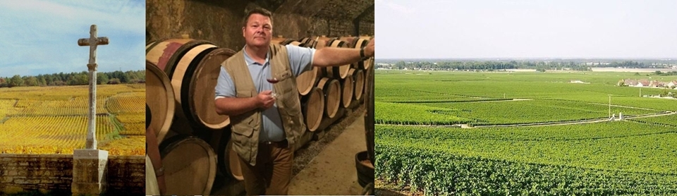 도멘 드 라 로마네 콩티(Domaine de la Romanée Conti) (사진=Liquid Icons)