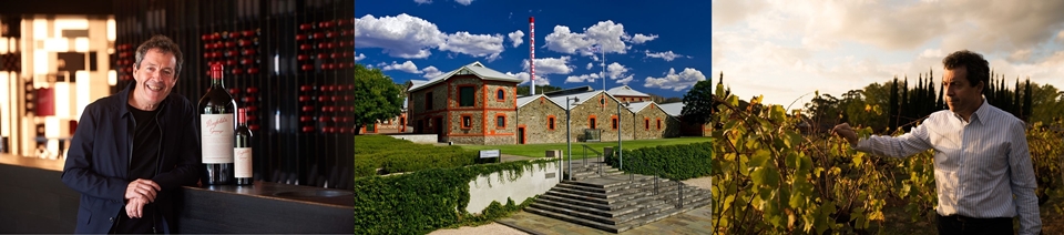 펜폴즈(Penfolds) (사진=Liquid Icons)