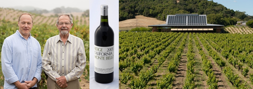 릿지 빈야드(Ridge Vineyard) (사진=Liquid Icons)