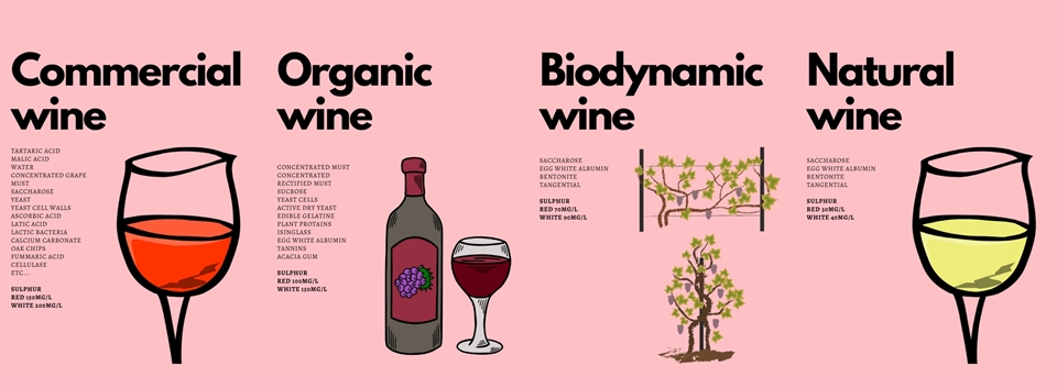 일반 와인과 내추럴 와인 등의 비교 
