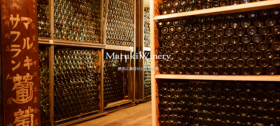 마루키 와이너리MARUKI Winery)의 꺄브, 현재 1970년대 빈티지 와인도 보관하고 있다