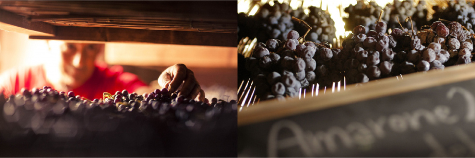 Appassimento Technique ⒸMasi