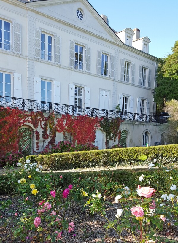 비오디나미 영농방식의 개척자, 니꼴라졸리의 '꿀레 드 세랑' 와이너리 담벼락과 정원의 장미