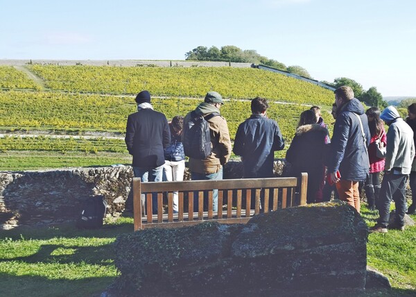 꿀레 드 세랑 포도밭