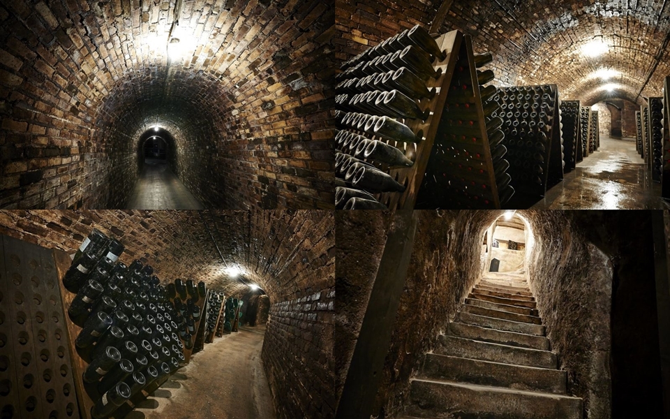 샴페인 가르데의 지하실 (사진=Champagne Gardet)