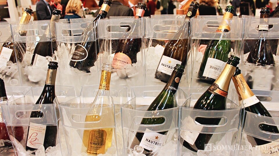 프로바인 샴페인 라운지에 진열된 와인들