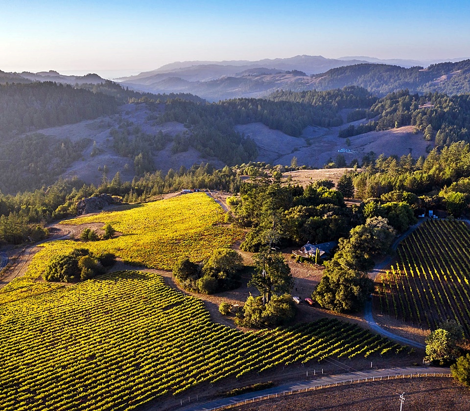 콥 와인(Cobb Wines)의 Coastlands Vineyard. 콥 와인이 포도 재배를 시작하며 터전을 잡은 빈야드. 바닷가에서 5km 정도의 거리에 있다. 바다에서 불어오는 바람과 안개. 다양한 토양층이 존재하는 빈야드에서 자란 피노 누아로 프리미엄 와인을 생산한다. 안개가 들어올 때는 10~12도 정도, 안개가 없으면 27도 정도로 기온이 유지되며 신선한 산도와 잘 익은 포도를 위한 생장에 도움이 된다. ⒸCobb Wines