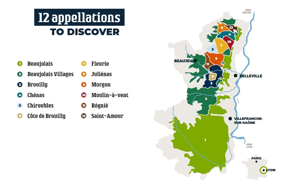 보졸레 내 12개 아뻴라시옹 1)보졸레 2)보졸레 빌라쥐 3)브루이 4)쉐나 5)쉬루블 6)꼬뜨 드 브루이 7)플뢰리 8)줄리에나 9)모르공 10)물랭-아-방 11)레니에 12)쌩따무르 (사진=소펙사 코리아)