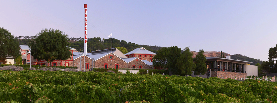 펜폴즈 매길 에스테이트(사진=Penfolds)