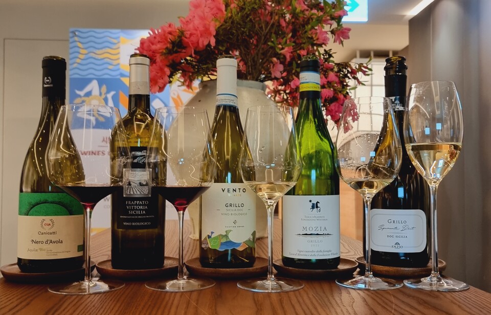 이번 행사에 선보인 와인들