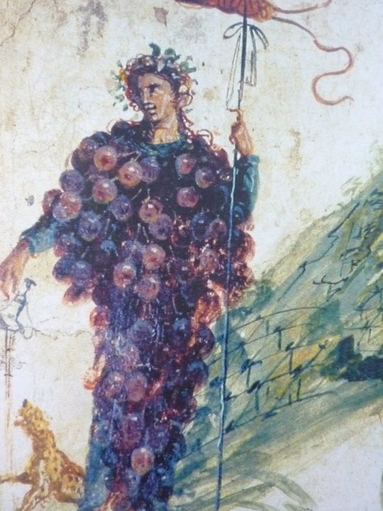 폼페이 한 저택의 벽화를 복원한 사진. 알리아니코 포도 문양의 의상을 입은 디오니소스 신. (출처 : Wikipedia)