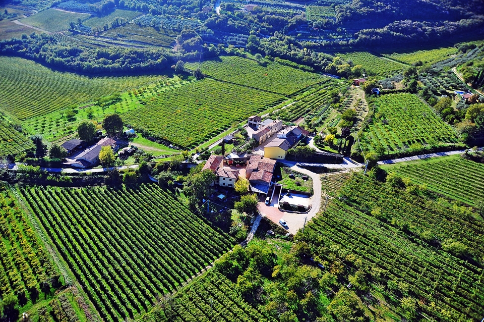 테레 디 삐에뜨라(Terre di Pietra)의 와이너리와 포도밭 전경