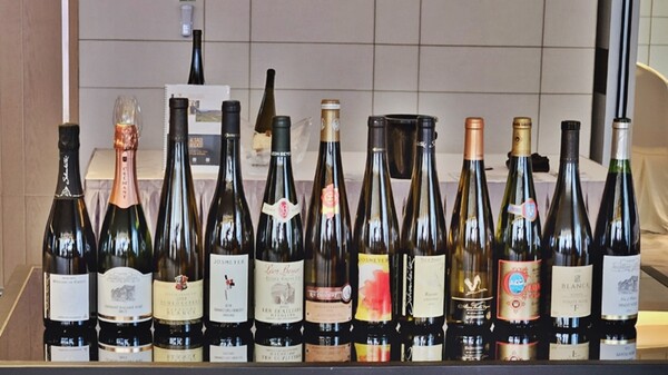 Alsace Wine Master Class에서 시음한 12종의 와인들