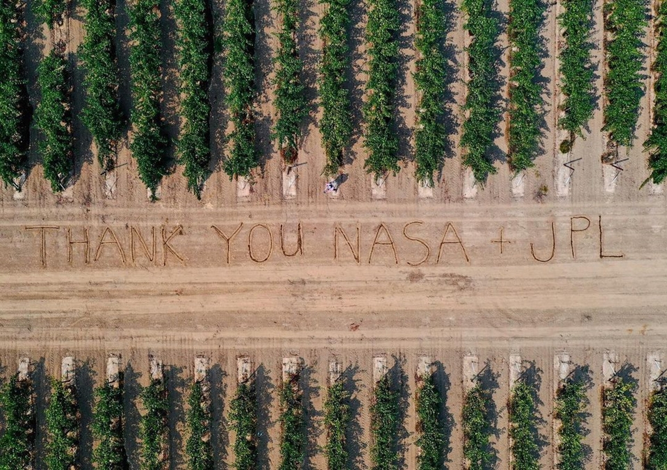 미국 캘리포니아 로디 지역의 포도밭에서 포도나무를 파괴하는 바이러스를 감지하기 위한 NASA의 Jet Propulsion Laboratory와의 협력에 감사함을 표현한 메시지를 포착한 드론 이미지 (사진= NASA Jet Propulsion Laboratory)