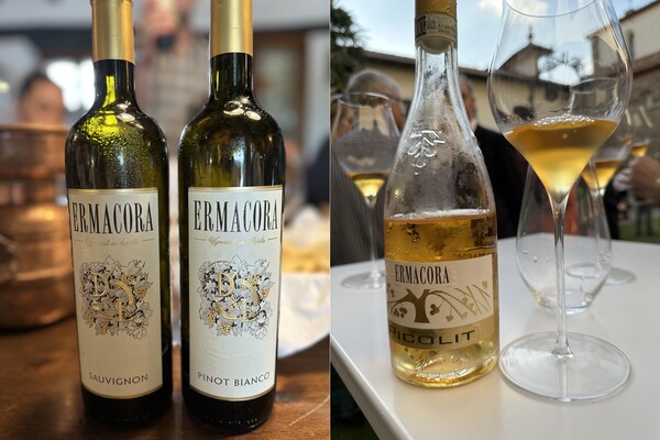 에르마코라의 아이콘 와인. 왼쪽부터 소비뇽블랑, 피노 비앙코, 피콜릿 디저트 와인