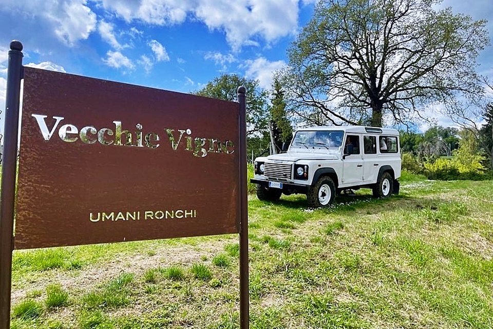 우마니 론끼(Umani Ronchi)는 이탈리아 마르케(Marche) 지역에 위치하고 있다