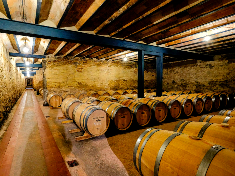 좋은 와인을 생산하기 위해 블렌딩에도 최선을 다 하고 있다. @Castell del Remei
