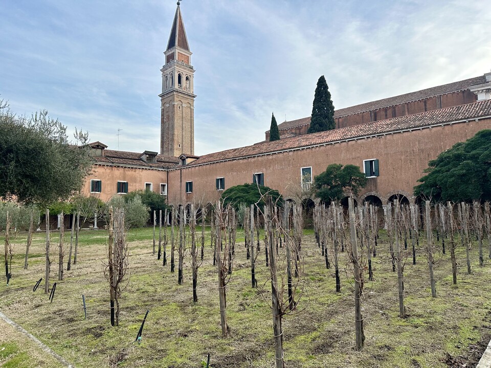 산프란체스코 델라 비냐 San Francesco Della Vigna수도원 내부 포도밭