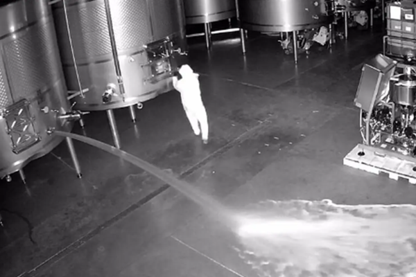 스페인의 Cepa 21 와이너리에 칩입한 한 미상의 인물이 6만 리터에 달하는 와인을 방출하고 있다.