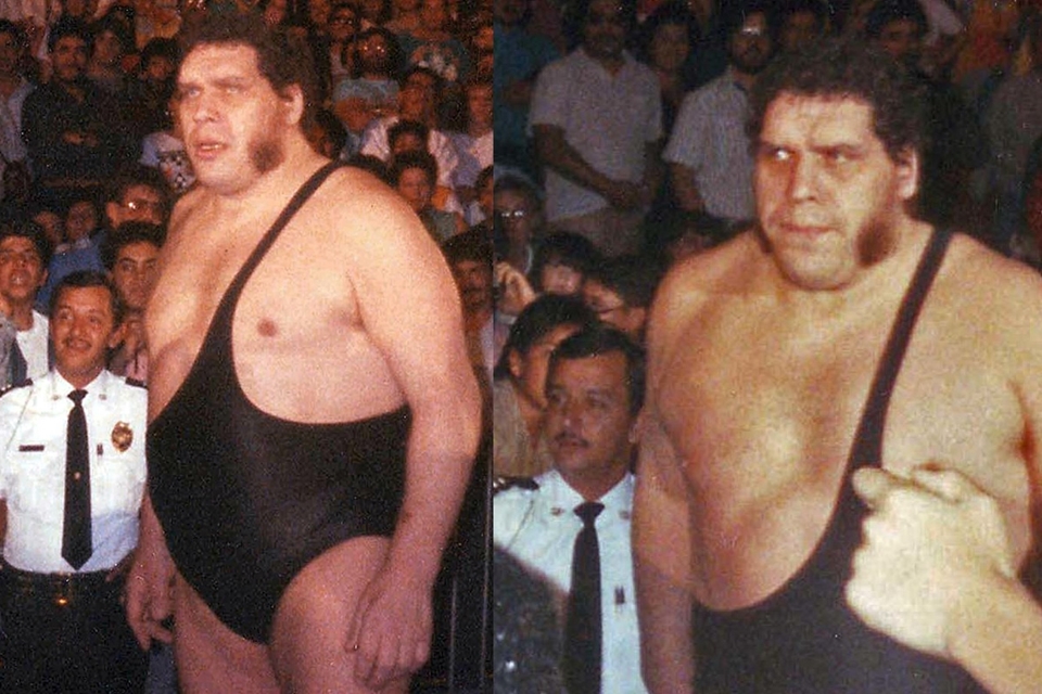 부르고뉴 화이트 와인을 좋아했던 것으로 알려진 WWF 프로레슬러 '앙드레 더 자이언트' (사진=Wikimedia)