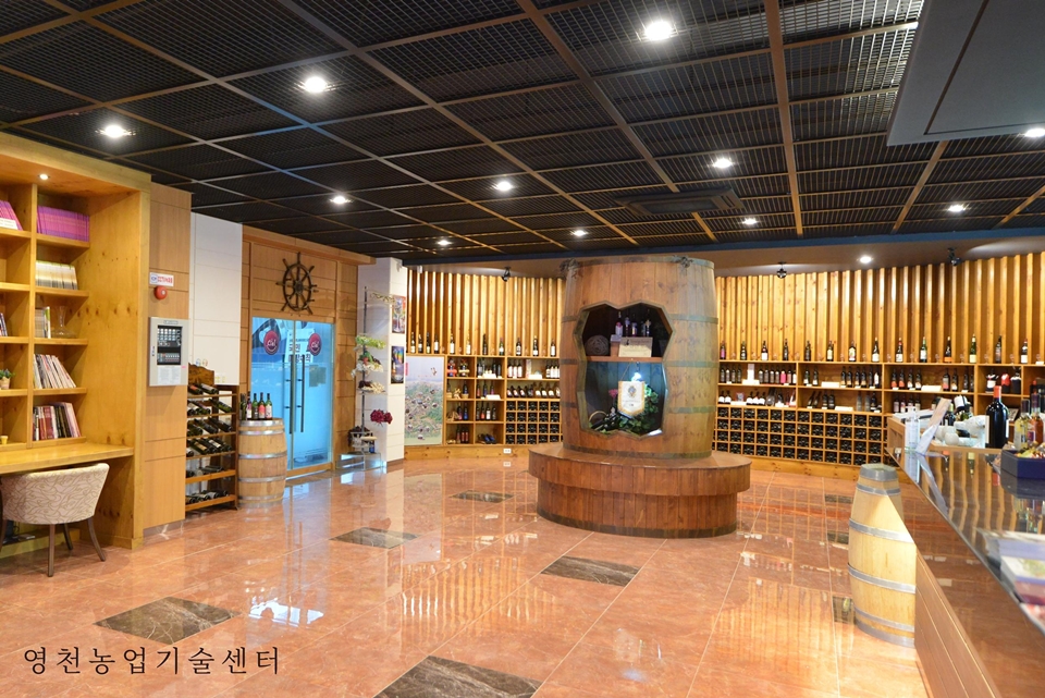 영천와인터널 (사진=영천시)