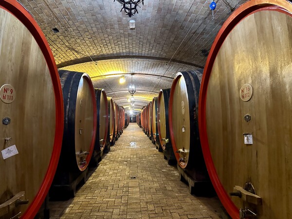 구 셀러내부. 신.구 셀러가 보유한 오크통이 5백여 개에 달한다