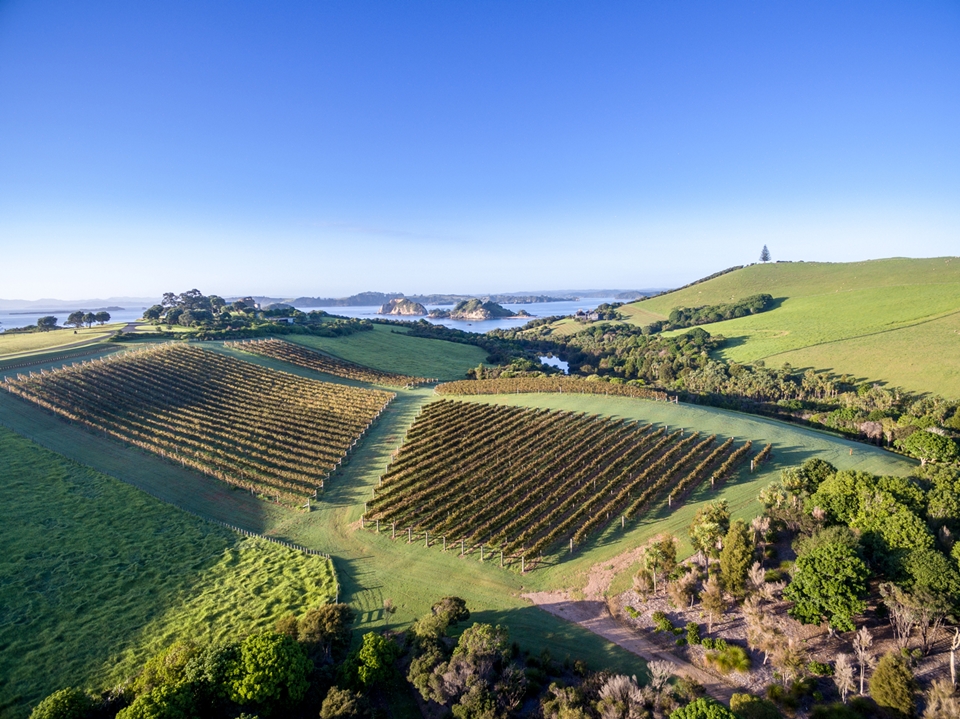뉴질랜드 와인 산지