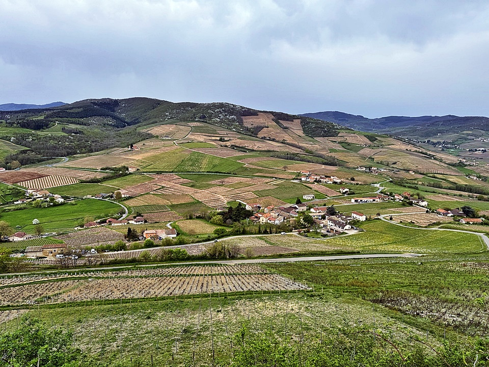 보졸레(Beaujolais)는 프랑스 부르고뉴(Bourgogne) 마콩(Mâcon) 지역의 남쪽에서부터 리옹(Lyon)의 북쪽 사이에 위치해 아름다운 산들과 계곡들이 어우러진 자연 풍경과 함께 대륙성 기후를 띄는 와인 생산지역이다, 몽 브루이(Mont Brouilly)에서 내려다 본 보졸레이 아름다운 전경 (사진 = 도윤 기자)
