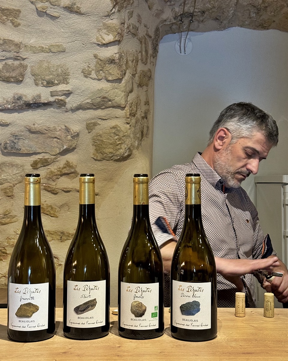 비네롱 피에르 도레(Vignerons Des Pierres Dorées), 가메(Gamay) 한 품종으로 각 토양의 스타일이 담긴 유니크한 와인들을 생산하고 있다 (사진 = 도윤 기자)