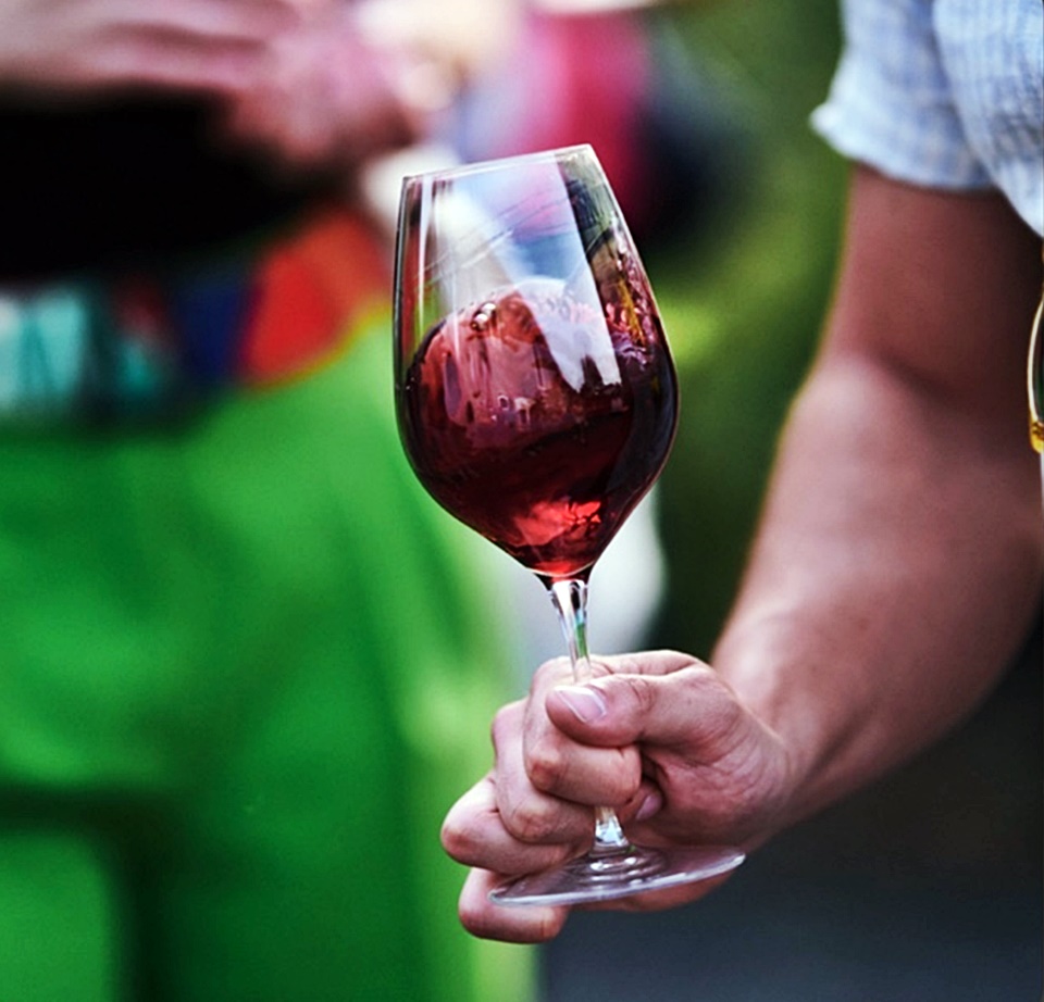 가메는 피노 누아(Pinot noir)와 구에 블랑(Gouais blanc)의 자연 교배종이다 (사진 = Vins Beaujolais)