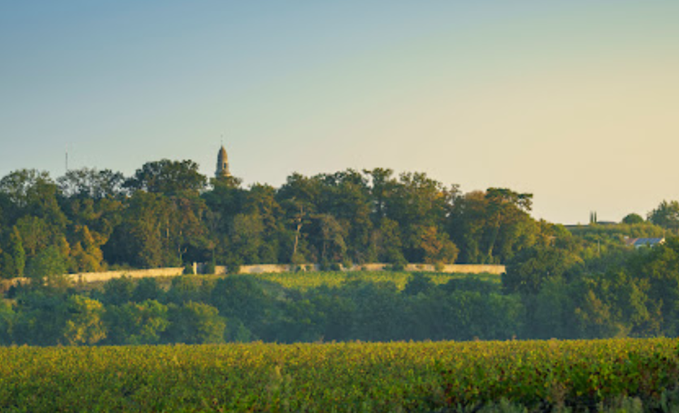 @Domaine du Grand Mouton