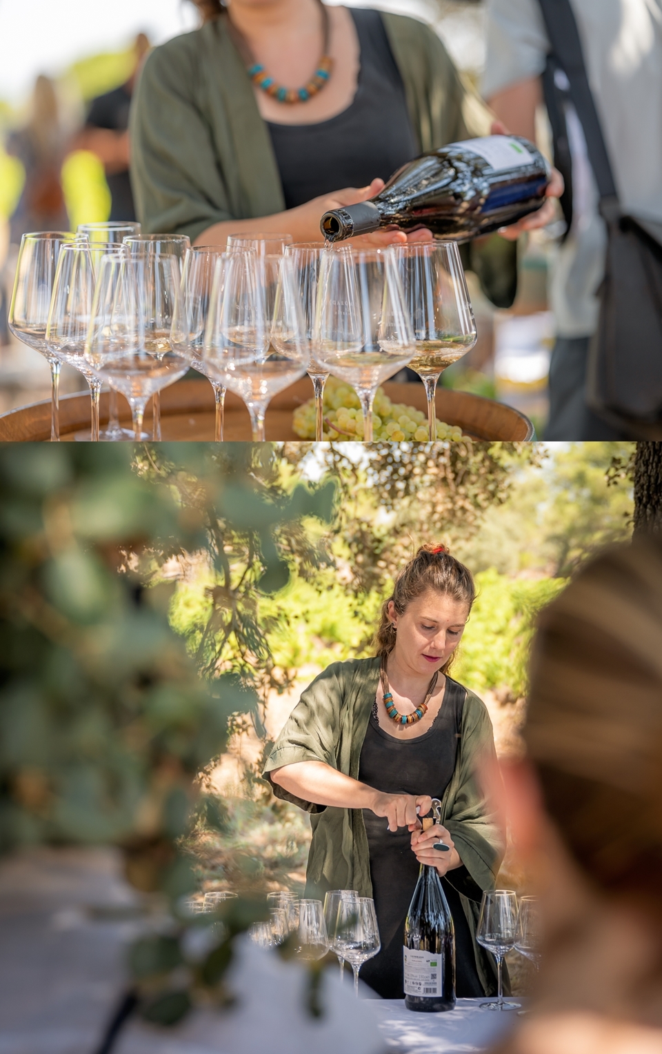 와이너리 투어 와인 시음 현장