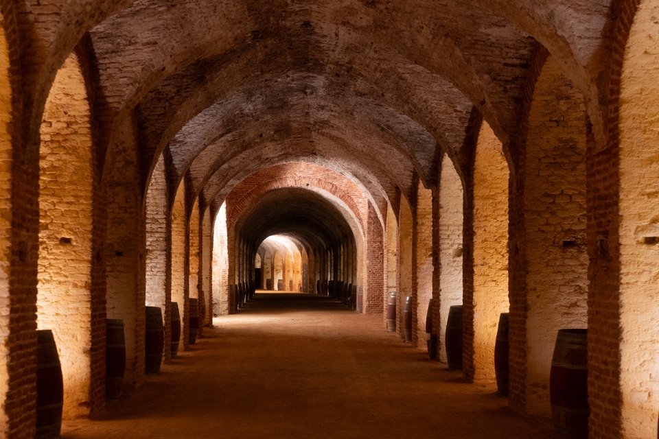 카를로스 3세 와이너리 와인저장고