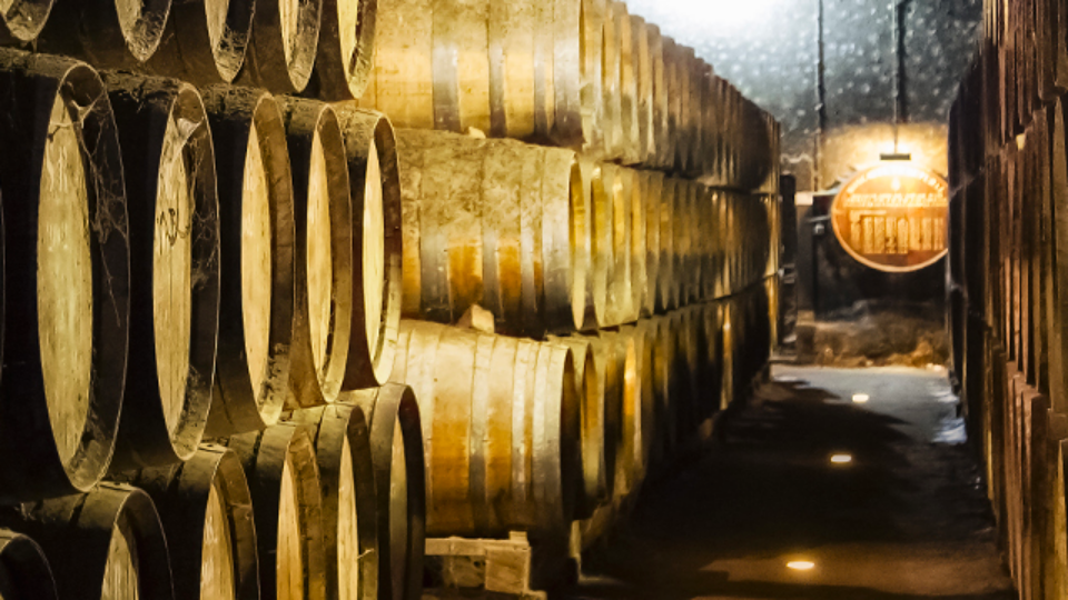 Ⓒ José Maria da Fonseca