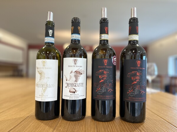테누테 발도의 아이콘 와인. 좌측- 몬테팔코 로쏘와 리제르바. 우측- 몬테팔코 사그란티노 프레다 델 팔코