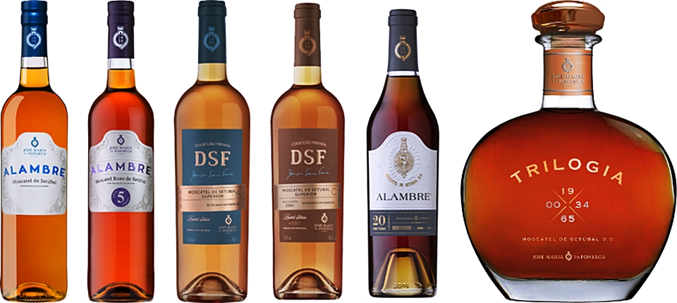 호세 마리아 다 폰세카(Jose Maria da Fonseca)의 다채로운 매력의 모스카텔 드 세투발(Moscatel de Setubal) 주정강화 와인들 (사진 = 올빈와인 )