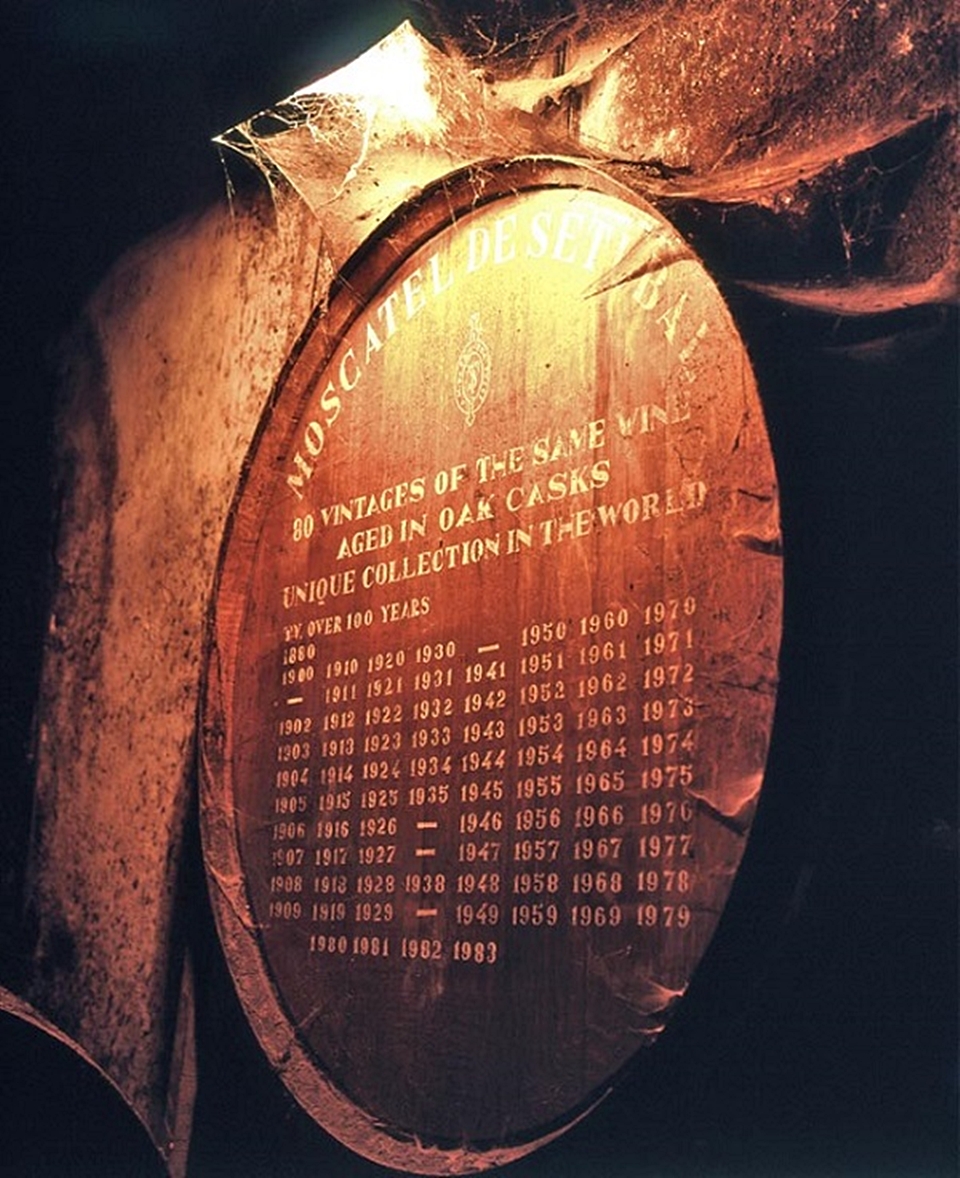 호세 마리아 다 폰세카(Jose Maria da Fonseca)는 1849년 모스카텔 드 세투발(Moscatel de Setubal) 주정강화 와인을 최초로 개발한 와이너리이다 (사진=Jose Maria da Fonseca)