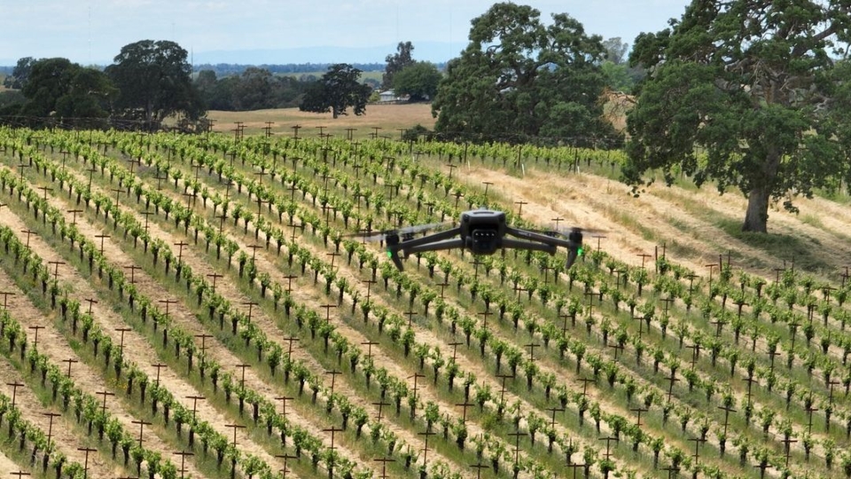 해충 박멸을 위한 말벌 유충을 투하할 수 있는 에어로보틱스의 드론 (사진=SkyBugs)