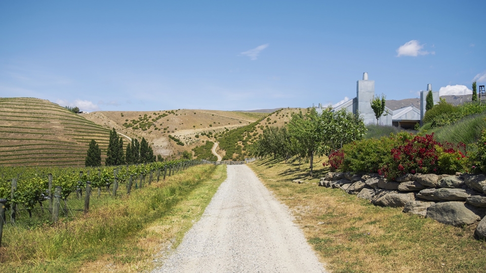 ﻿@뉴질랜드와인생산자협회(New Zealand Winegrowers)
