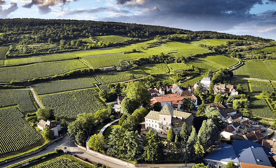 Domaine de Chateau Philippe le Hardi는 약 35개의 클리마와 17개의 아펠라시옹을 관리하고 있다