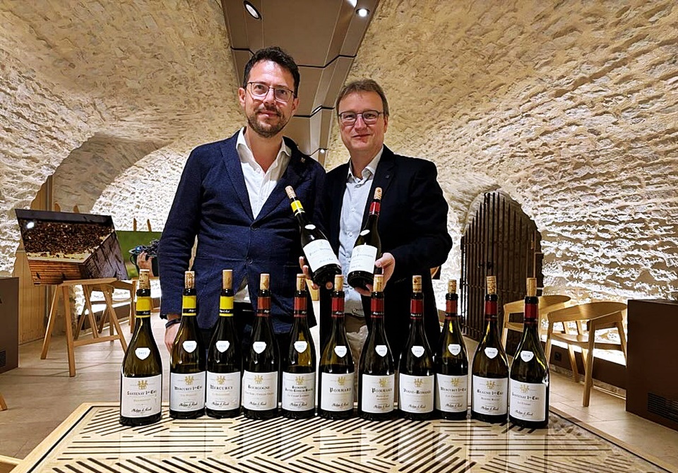 타이거인터내셔날은 Domaine de Chateau Philippe le Hardi의 총 11개의 아펠라시옹 와인은 한국에 선보인다