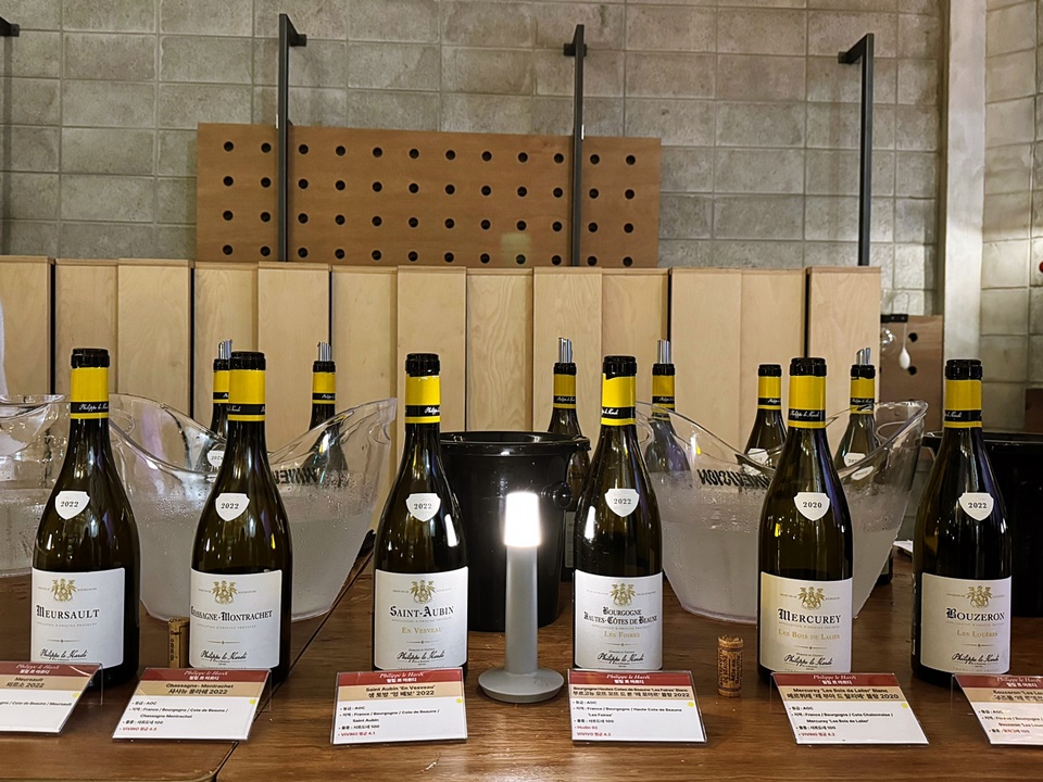 필립 르 아르디(Philippe le Hardi)의 화이트 와인들, 타이거인터내셔날은 최근 필립 아르디의 11개의 아펠라시옹 와인을 론칭했다 (사진=도윤 기자)